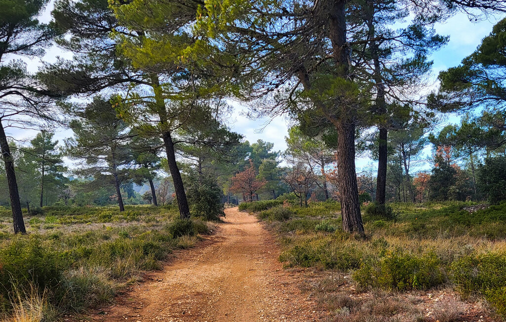 Location de vacances - Venelles Et Puyricard , France - FCS273 38