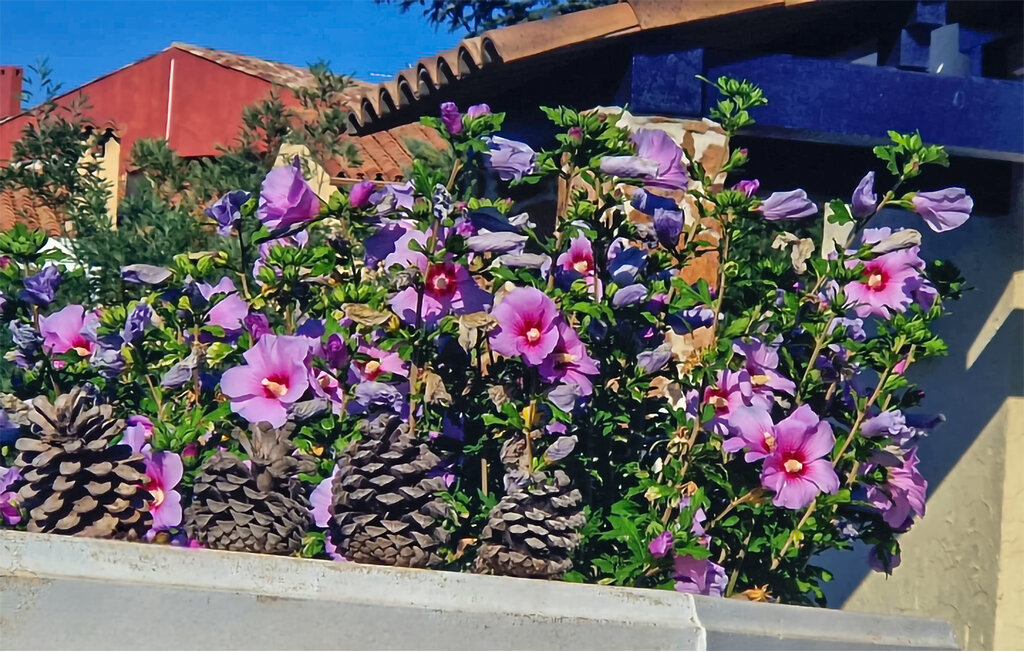 Location de vacances - Saint Raphaël , France - FCS083 12