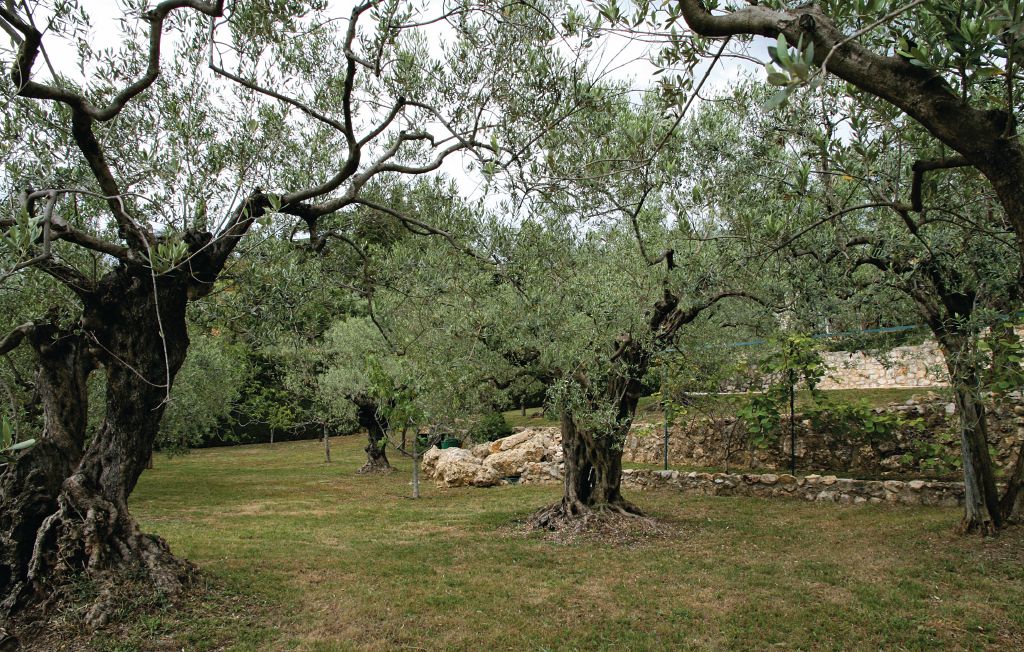 Feriehus - Fayence , Frankrike - FCV498 7