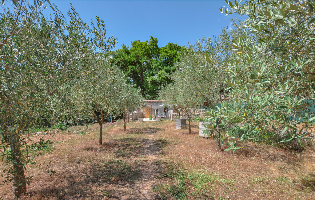 Feriehuse - Montauroux , Frankrig - FCV956 8