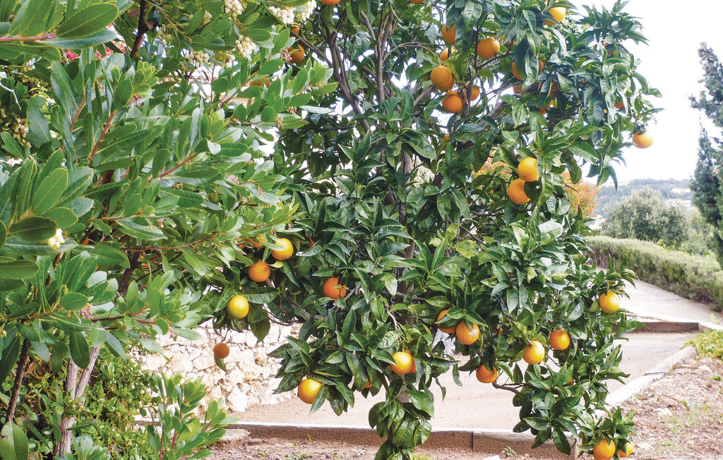 Ferienhaus - Cavalaire-sur-Mer , Frankreich - FCV045 34