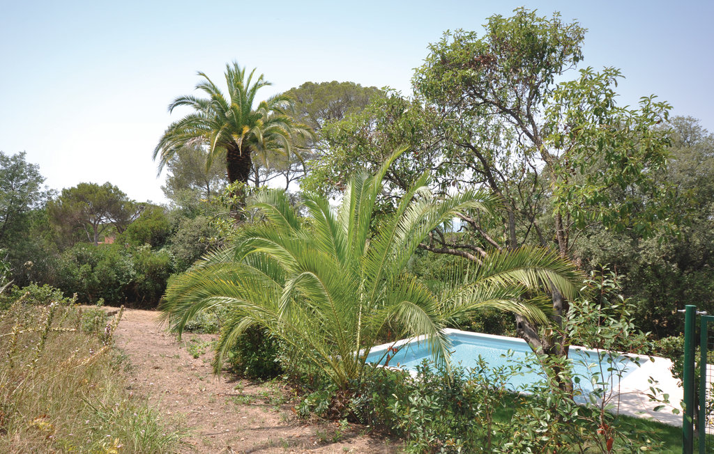 Ferienhaus - Saint Raphael , Frankreich - FCV583 10