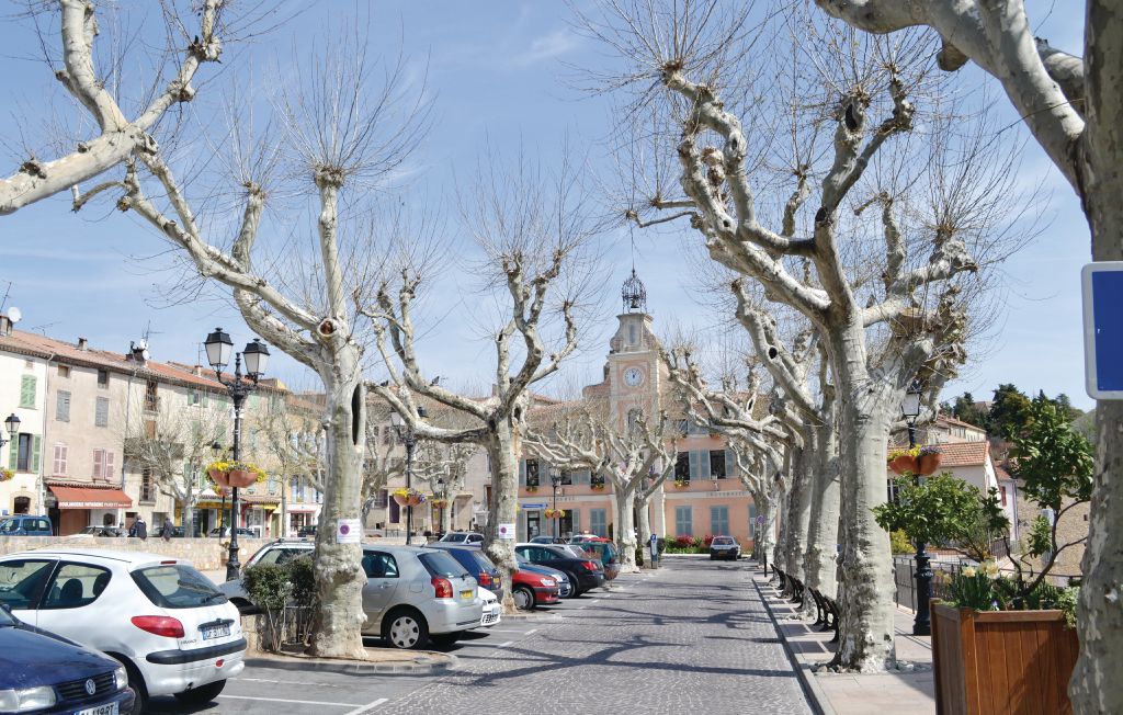 Ferienhaus - Montauroux , Frankreich - FCV476 44