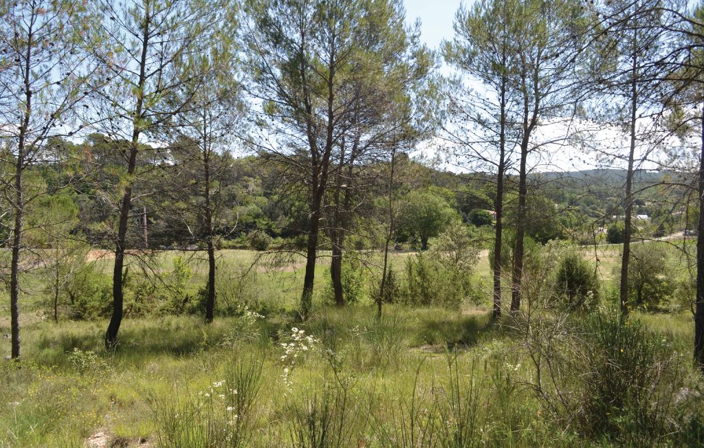 Apartment - Lorgues , France - FCV345 14
