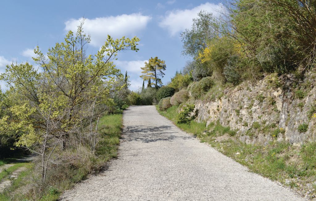 Ferienhaus - Montauroux , Frankreich - FCV476 10