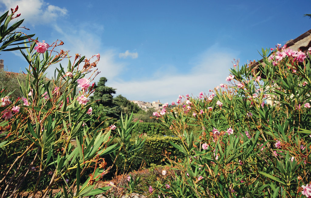 Feriehuse - Fayence , Frankrig - FCV587 14