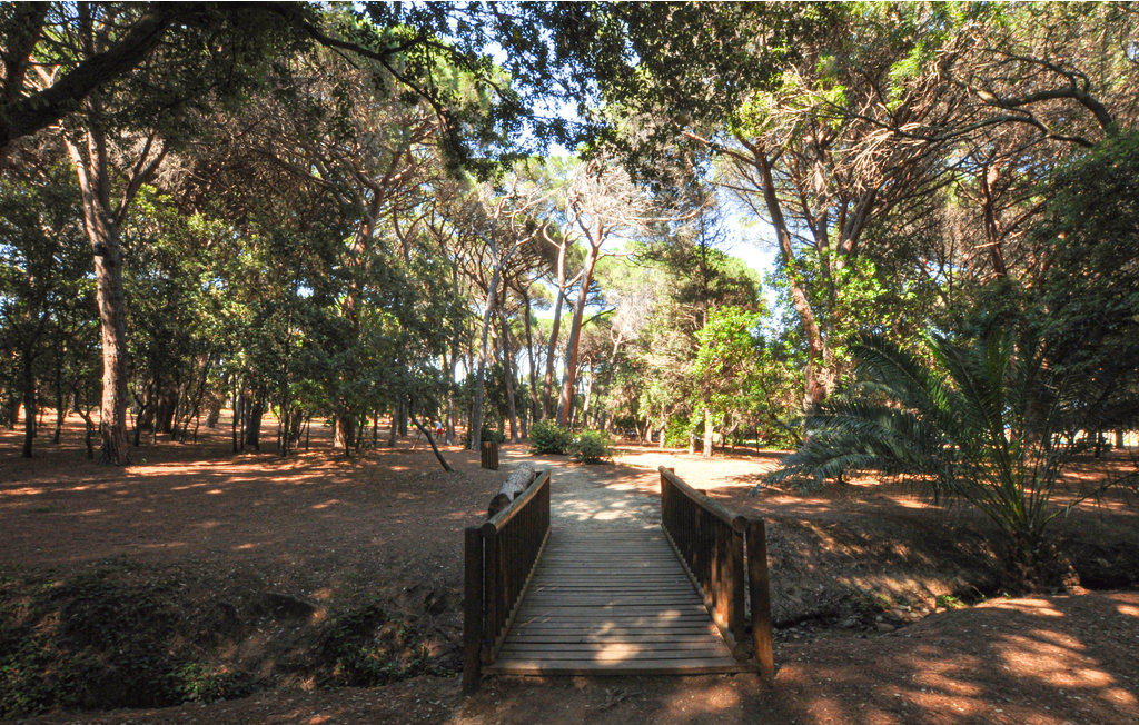 Semesterlägenhet - Saint-Maxime , Frankrike - FCV966 10