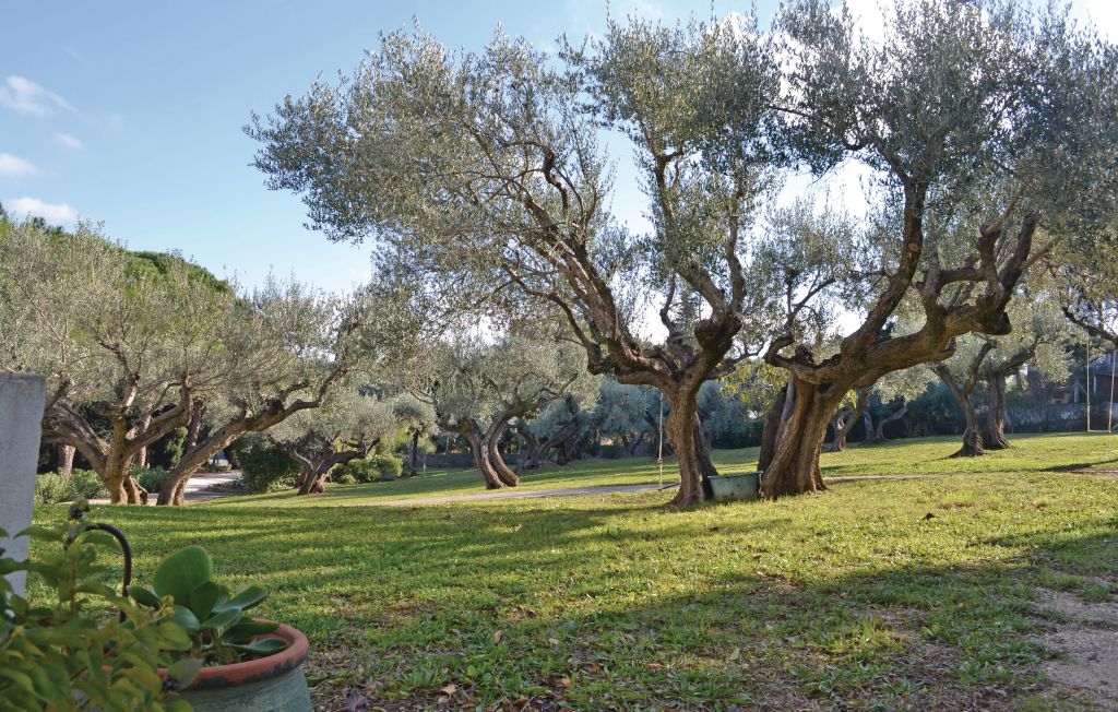 Feriehus - Toulon , Frankrike - FCV458 11