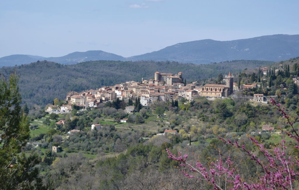 Ferienhaus - Montauroux , Frankreich - FCV476 13