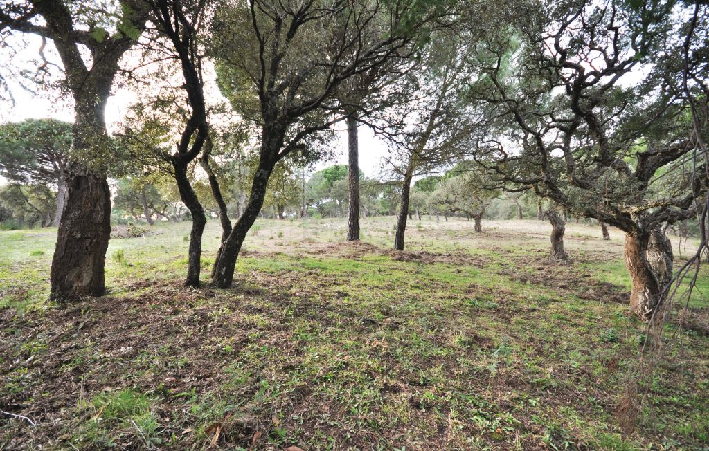 Feriehuse - Gassin-Golfe de St. Tropez , Frankrig - FCV250 12