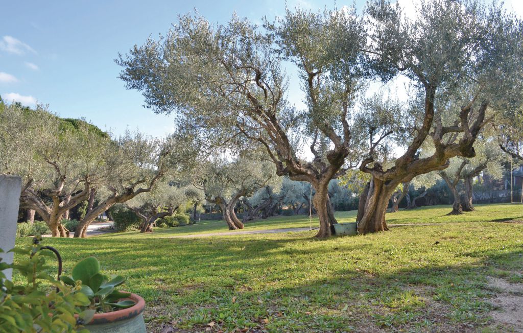 Feriehus - Toulon , Frankrike - FCV458 47