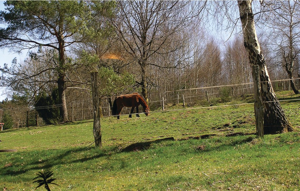 Semesterhus - Saulxures , Frankrike - FDB016 9