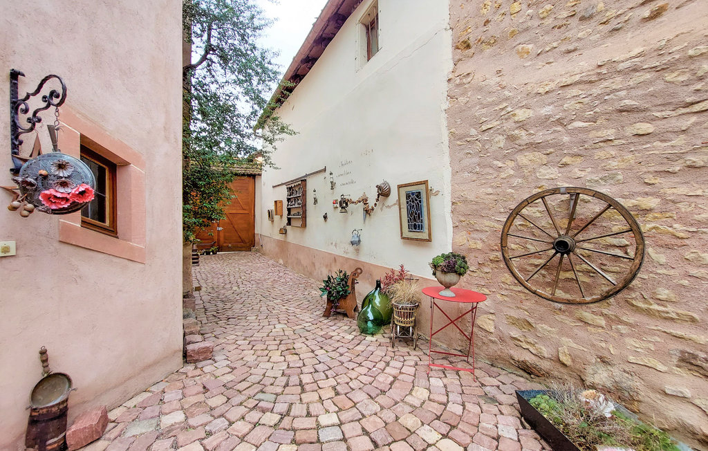 Ferienwohnung - Mittelbergheim , Frankreich - FDB042 8