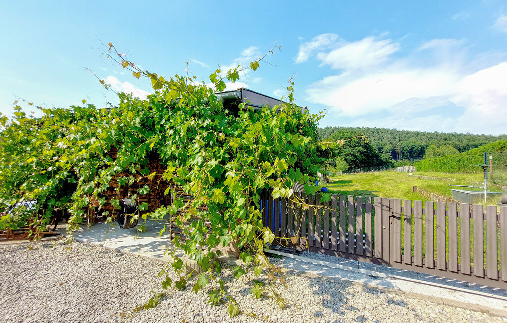 Location de vacances - Reipertswiller , France - FDB050 9