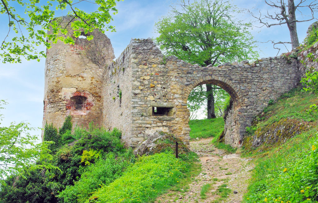 Ferienhaus Pfetterhouse , Frankreich FDH014 Dansommer