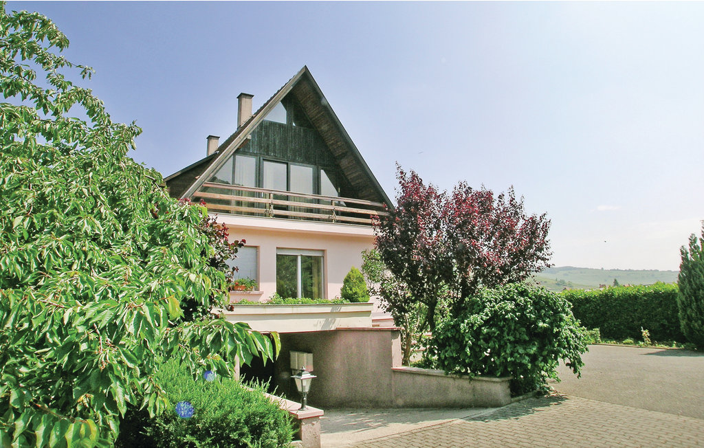 Bild 1 Bild 1