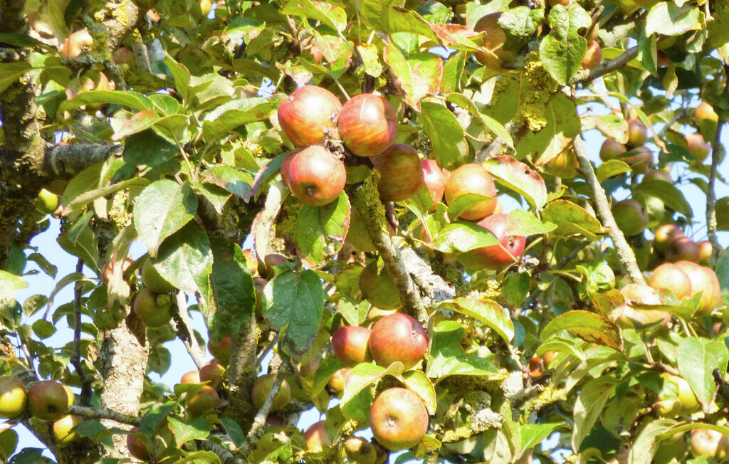 Location de vacances - Coudray-au-Perche , France - FEE007 29