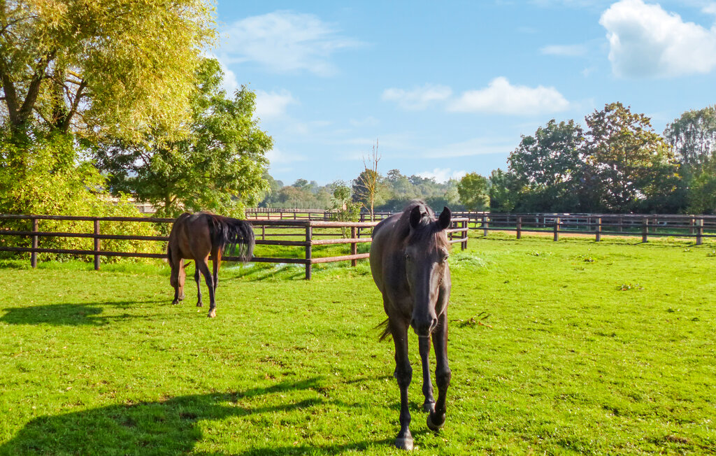 Location de vacances - Coudray-au-Perche , France - FEE007 31