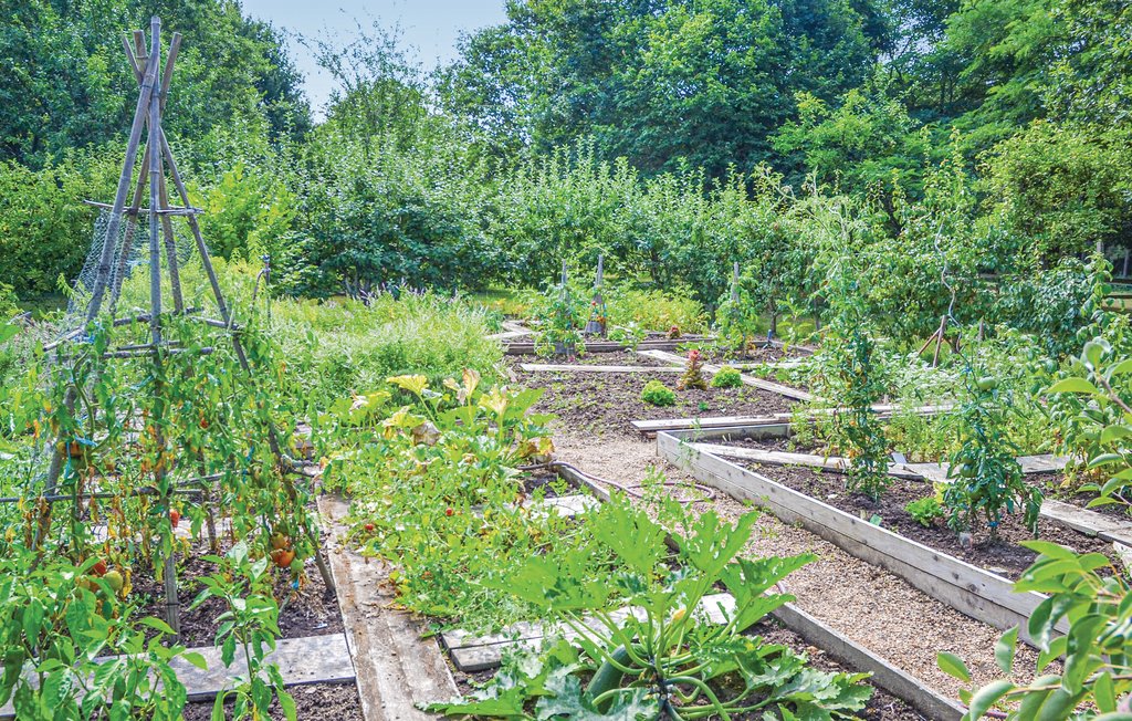 Feriehuse - Cheille Bourg , Frankrig - FEI017 17