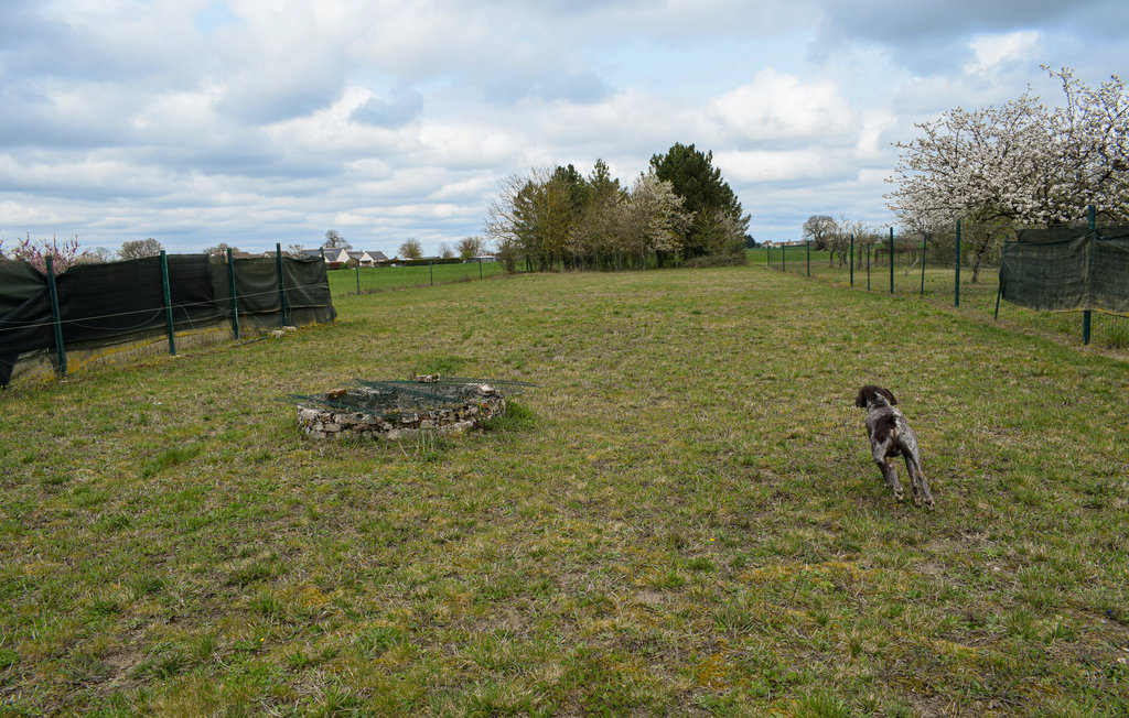 Semesterhus - Channay-sur-Lathan , Frankrike - FEI067 6