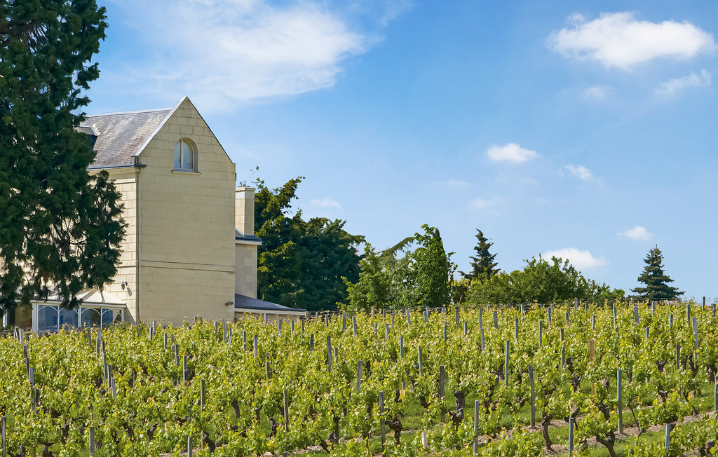 Feriehus - Proche Chinon , Frankrike - FEI082 20