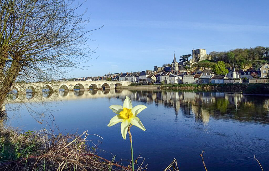 Location de vacances - Bléré , France - FEI085 15