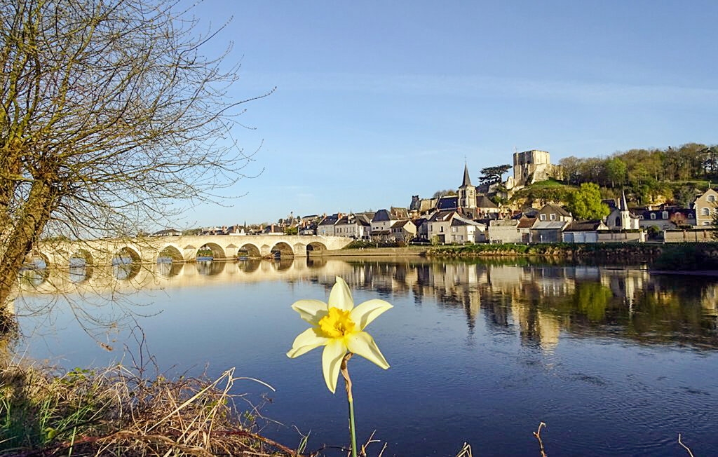 Location de vacances - Montrichard , France - FEL037 29