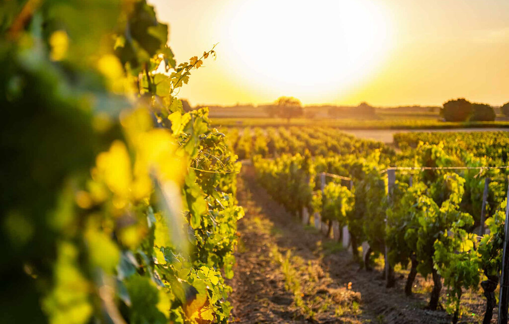 Location de vacances - BLOIS , France - FEL039 8