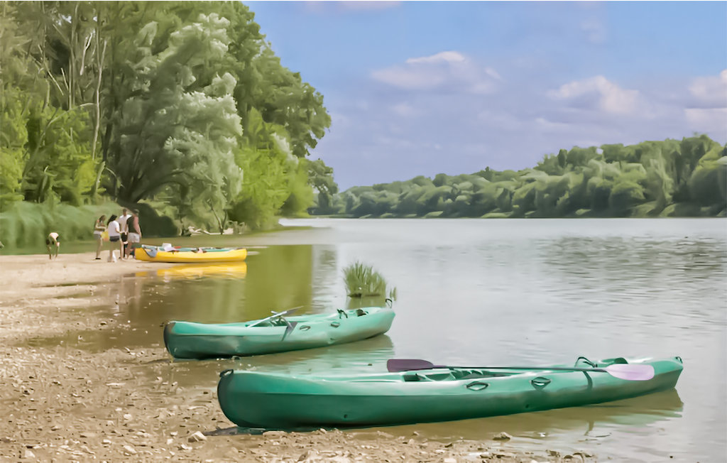 Ferienhaus - GIEN , Frankreich - FER014 18