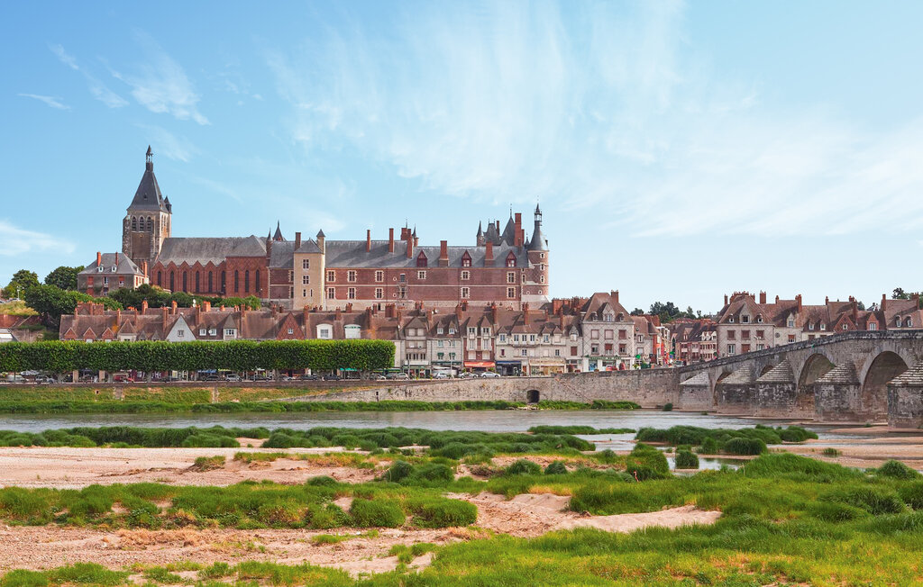 Kuća-za-odmor - EGRY , Francuska - FER025 7