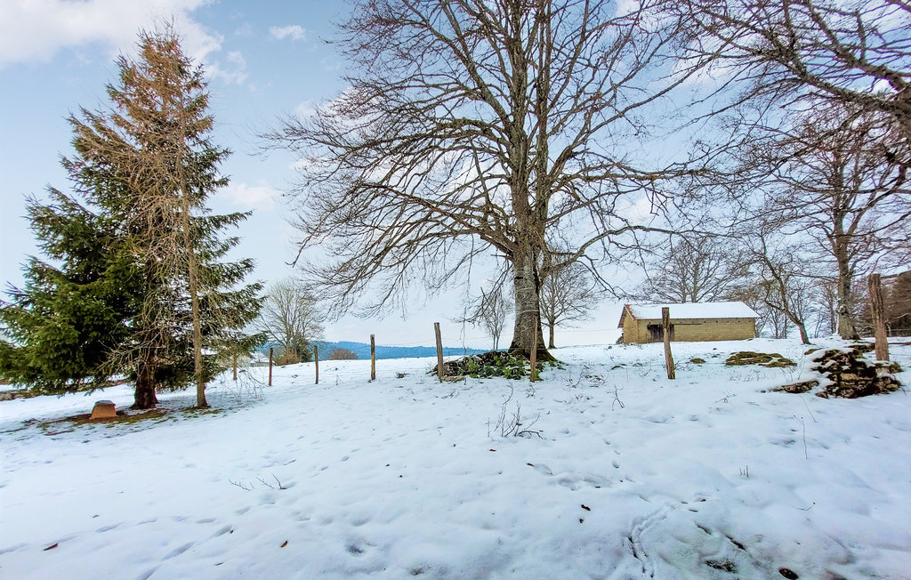 Ferienhaus - La Longeville, Charmant chalet , Frankreich - FFD009 9
