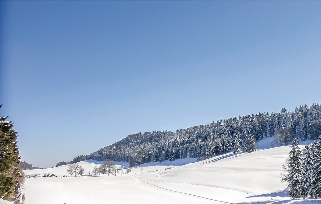 Semesterhus - Pontarlier , Frankrike - FFD001 9