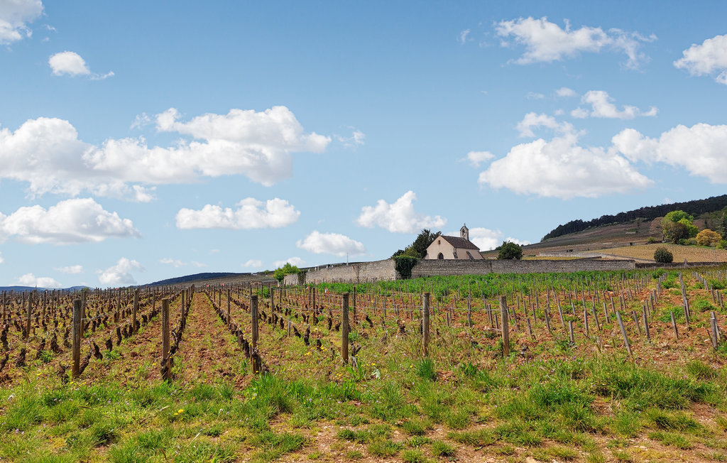 Feriehuse - Volnay , Frankrig - FGC010 15