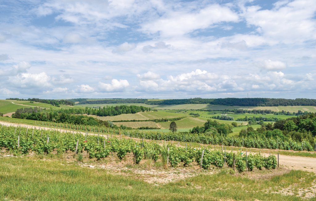 Feriehuse - Landreville , Frankrig - FHB003 18