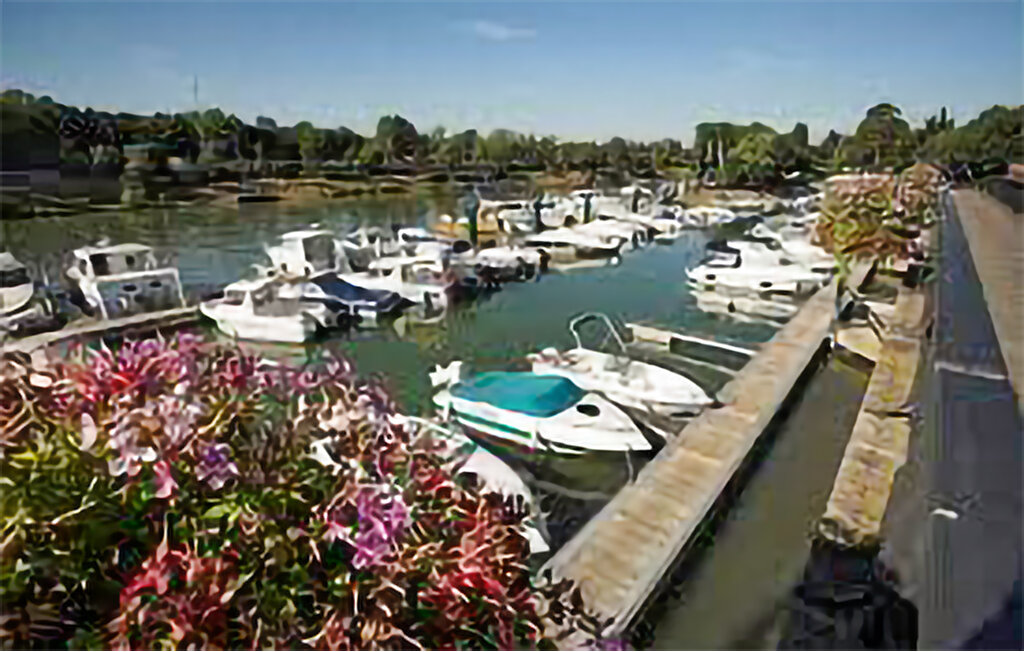 Location de vacances - Joinville-le-Pont , France - FIV003 20