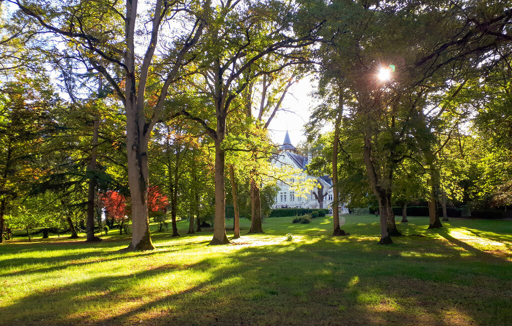 Ferienhaus - Lencloître , Frankreich - FJV045 15