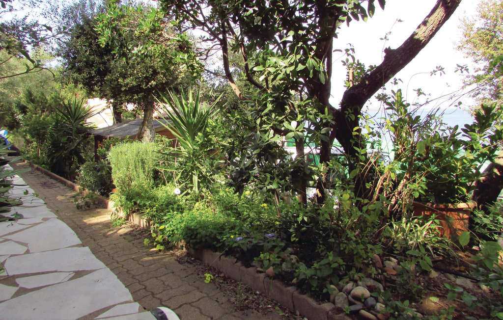 Feriehus - Porto Vecchio , Frankrike - FKO089 8