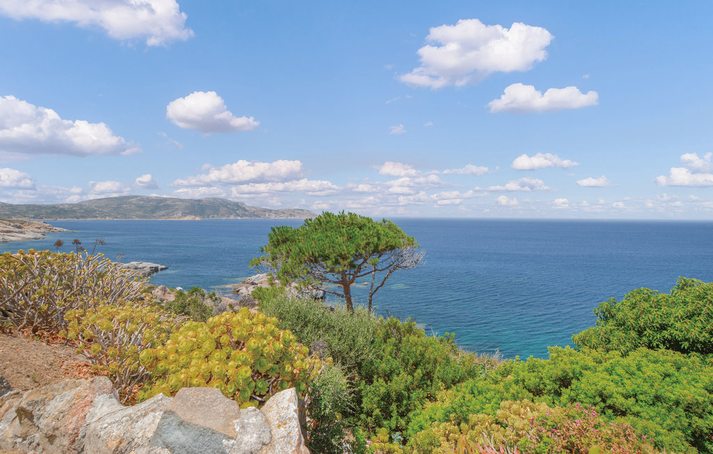 Semesterhus - Calvi , Frankrike - FKO116 5