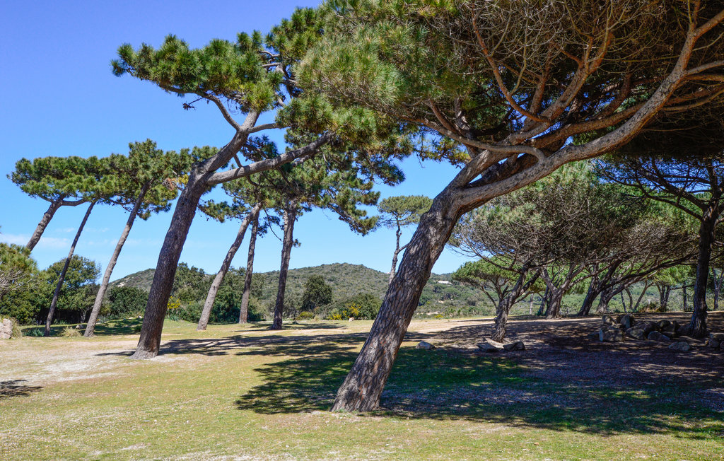 Ferienhaus - Coti Chiavari , Frankreich - FKO520 17