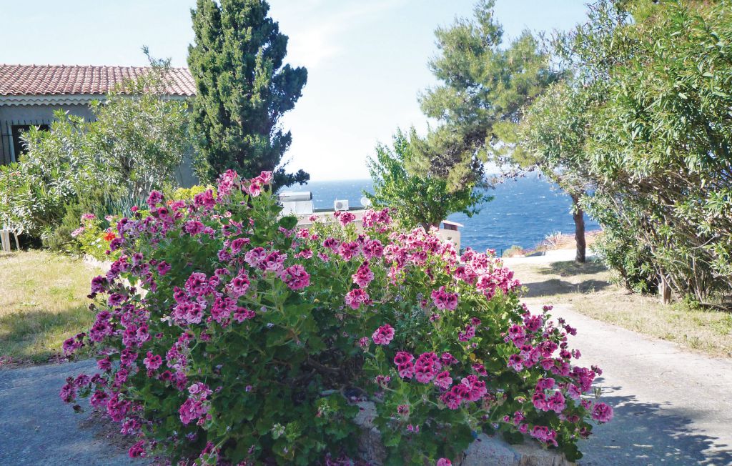 Lejlighed - Calvi , Frankrig - FKO117 7