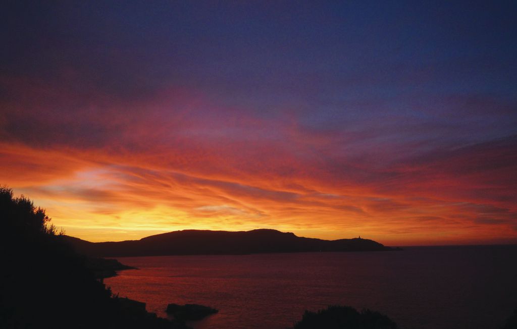 Lejlighed - Calvi , Frankrig - FKO117 18