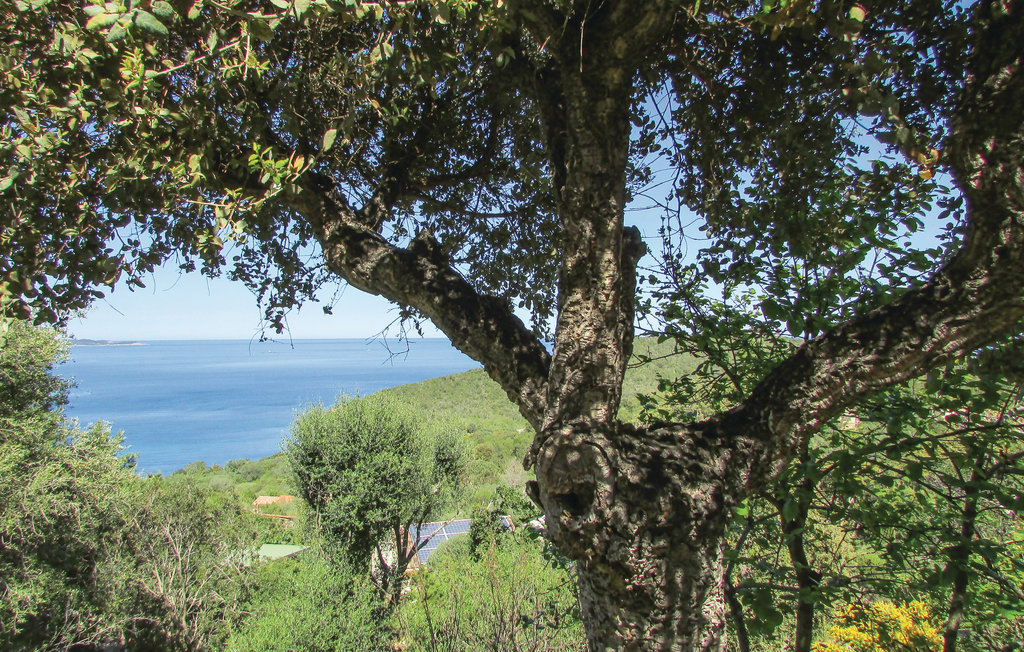 Feriehus - Porto Vecchio , Frankrike - FKO089 12