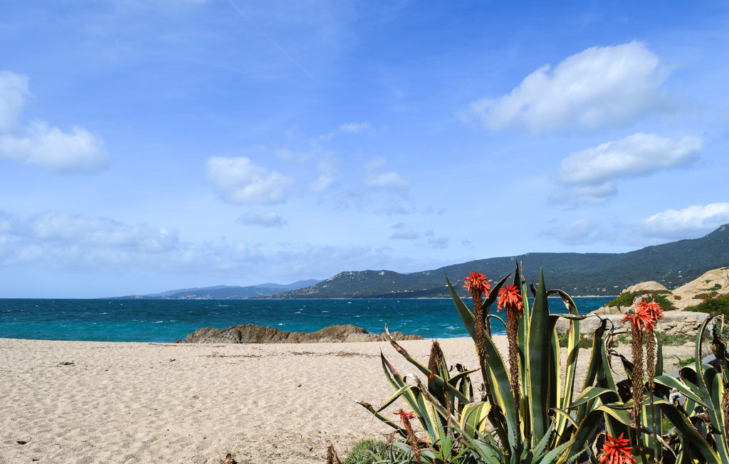 Ferienwohnung - Propriano , Frankreich - FKO453 12