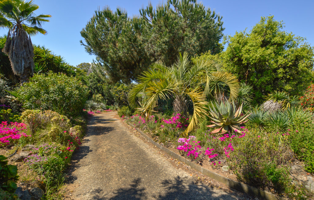 Feriehus - Porticcio , Frankrike - FKO438 12