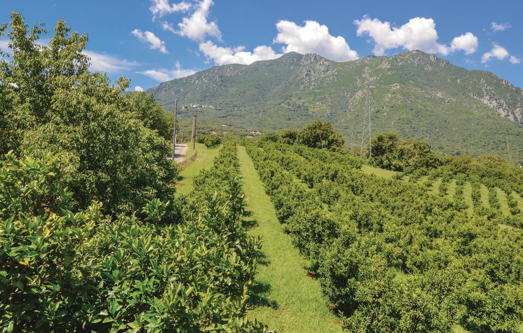 Ferienhaus - Santa Maria Poggio , Frankreich - FKO344 12
