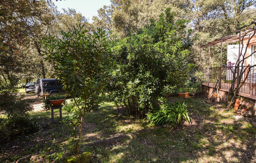 Location de vacances - Afa , France - FKO632 9