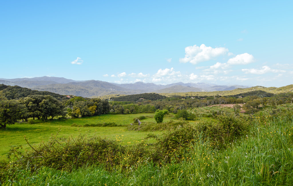 Domy wakacyjne - Petreto Bicchisano , Francja - FKO637 9