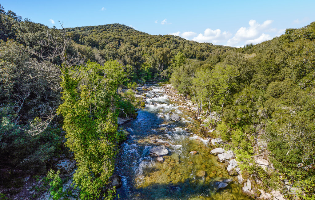 Domy wakacyjne - Petreto Bicchisano , Francja - FKO637 23