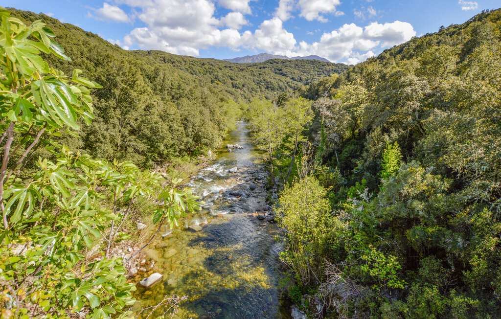 Domy wakacyjne - Petreto Bicchisano , Francja - FKO637 24