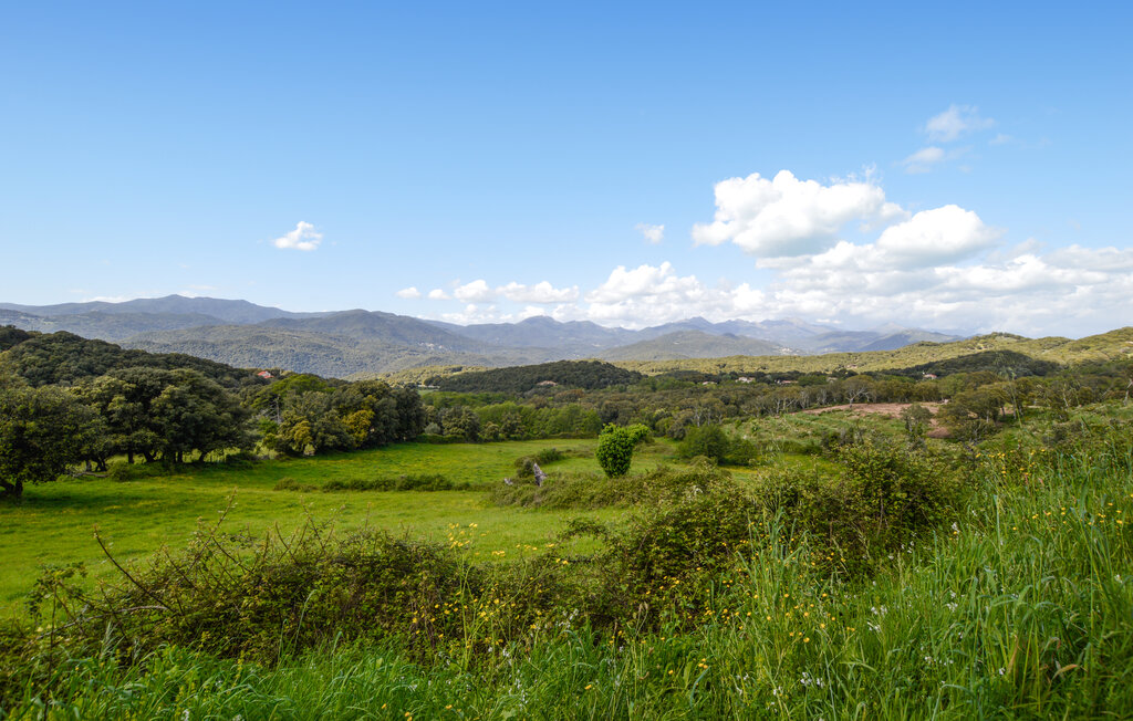 Feriehus - Petreto Bicchisano , Frankrike - FKO640 8